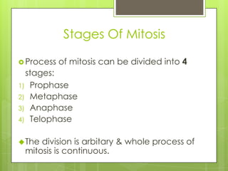 Stages Of Mitosis
 Process of mitosis can be divided into 4
stages:
1) Prophase
2) Metaphase
3) Anaphase
4) Telophase
The division is arbitary & whole process of
mitosis is continuous.
 
