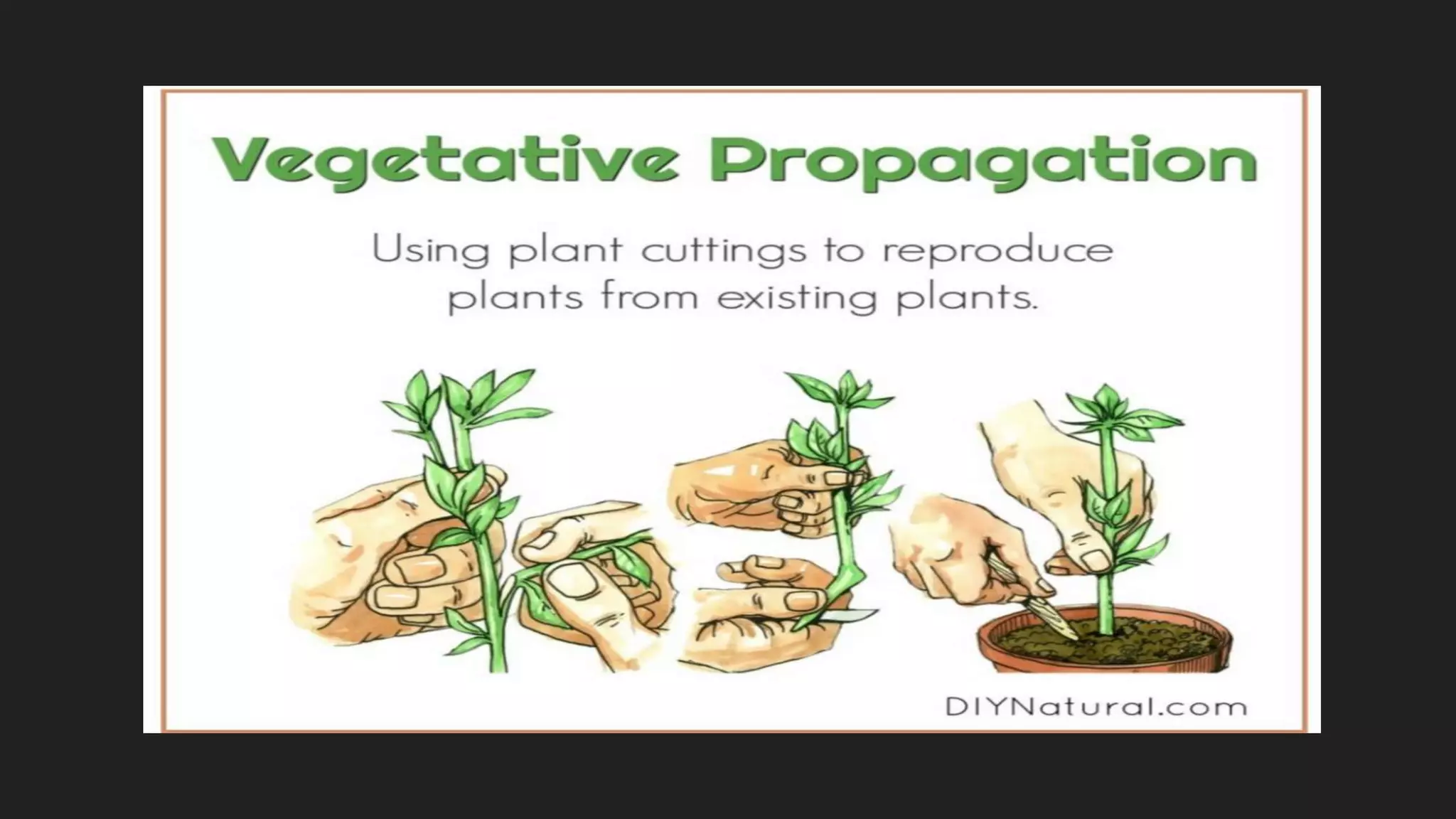 Asexuality visual data 3