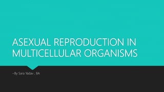 ASEXUAL REPRODUCTION IN
MULTICELLULAR ORGANISMS
~By Sara Yadav , 8A
 