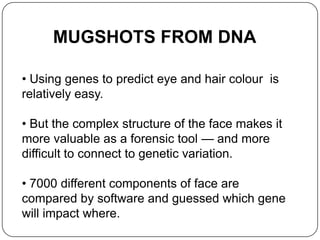 MUGSHOTS FROM DNA
• Using genes to predict eye and hair colour is
relatively easy.
• But the complex structure of the face makes it
more valuable as a forensic tool — and more
difficult to connect to genetic variation.
• 7000 different components of face are
compared by software and guessed which gene
will impact where.
 