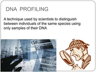DNA PROFILING
A technique used by scientists to distinguish
between individuals of the same species using
only samples of their DNA
 