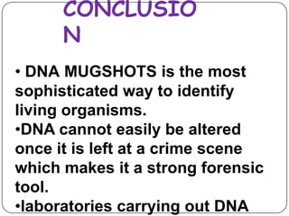 CONCLUSIO
N
• DNA MUGSHOTS is the most
sophisticated way to identify
living organisms.
•DNA cannot easily be altered
once it is left at a crime scene
which makes it a strong forensic
tool.
•laboratories carrying out DNA
 