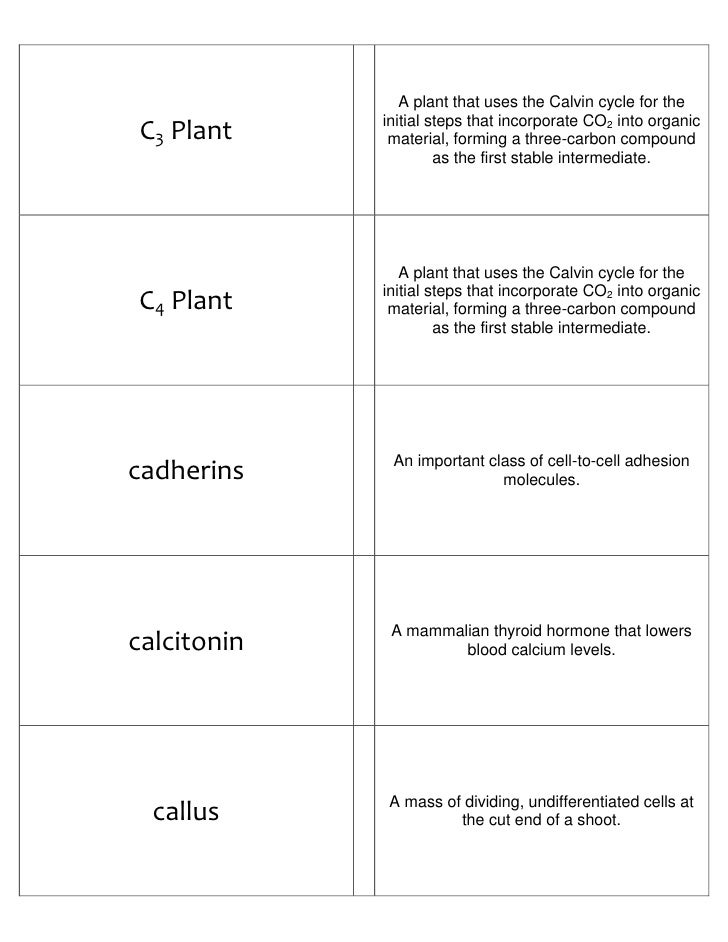 Biology Flash Cards Part I