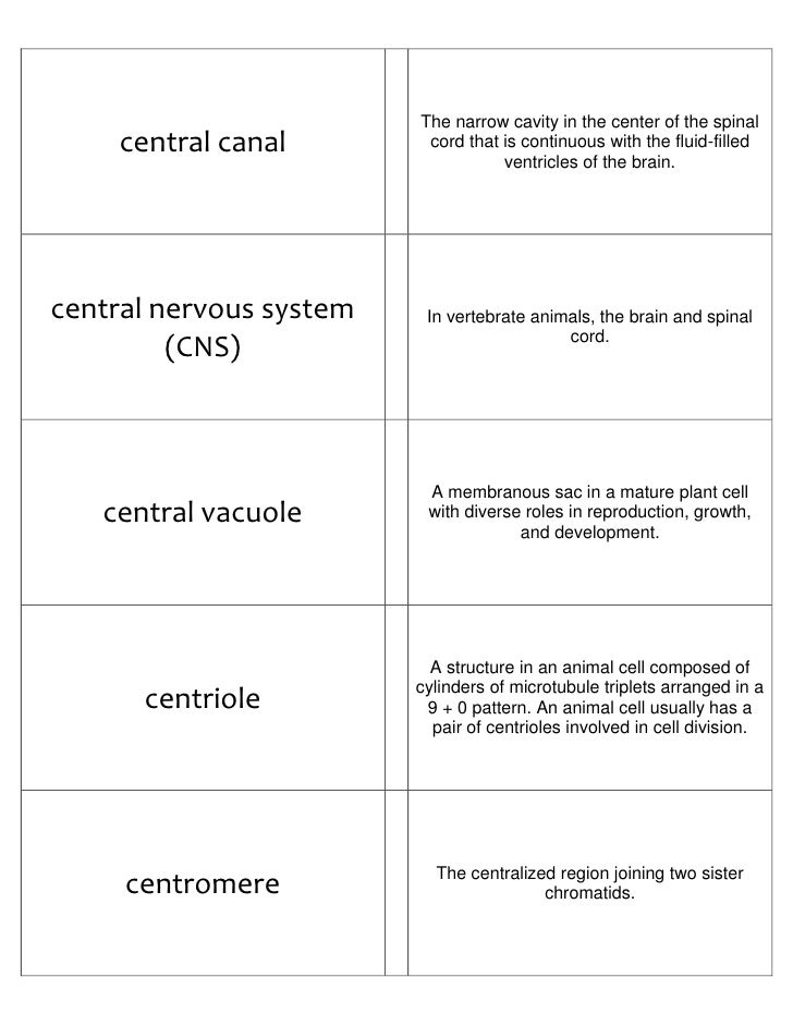 Biology Flash Cards Part I