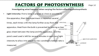 CIE IGCSE Biology flashcards