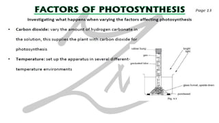 CIE IGCSE Biology flashcards