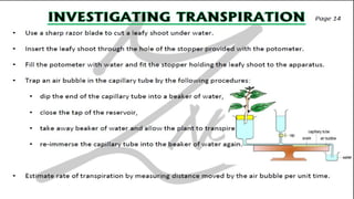 CIE IGCSE Biology flashcards