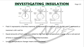 CIE IGCSE Biology flashcards