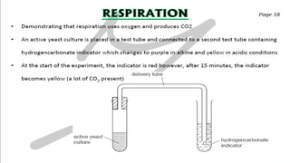 CIE IGCSE Biology flashcards