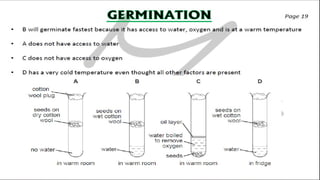 CIE IGCSE Biology flashcards