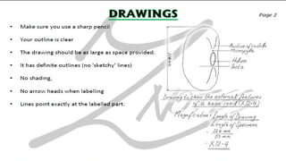 CIE IGCSE Biology flashcards