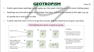 CIE IGCSE Biology flashcards