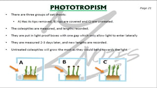 CIE IGCSE Biology flashcards