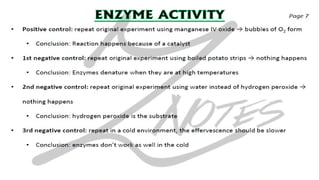 CIE IGCSE Biology flashcards