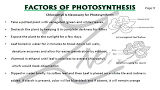 CIE IGCSE Biology flashcards