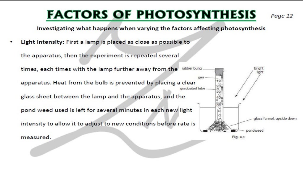 CIE IGCSE Biology flashcards