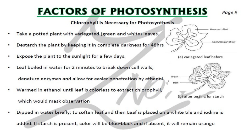 CIE IGCSE Biology flashcards