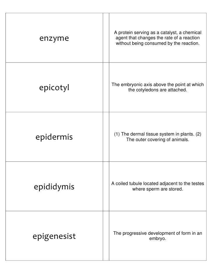 Biology Flash Cards 2