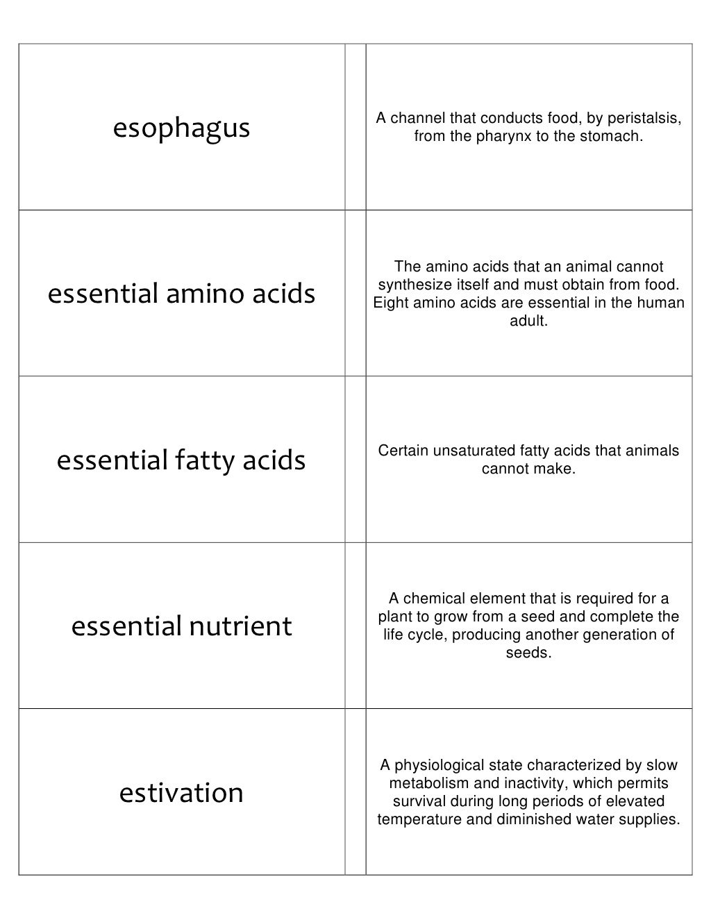 Biology Flash Cards 2