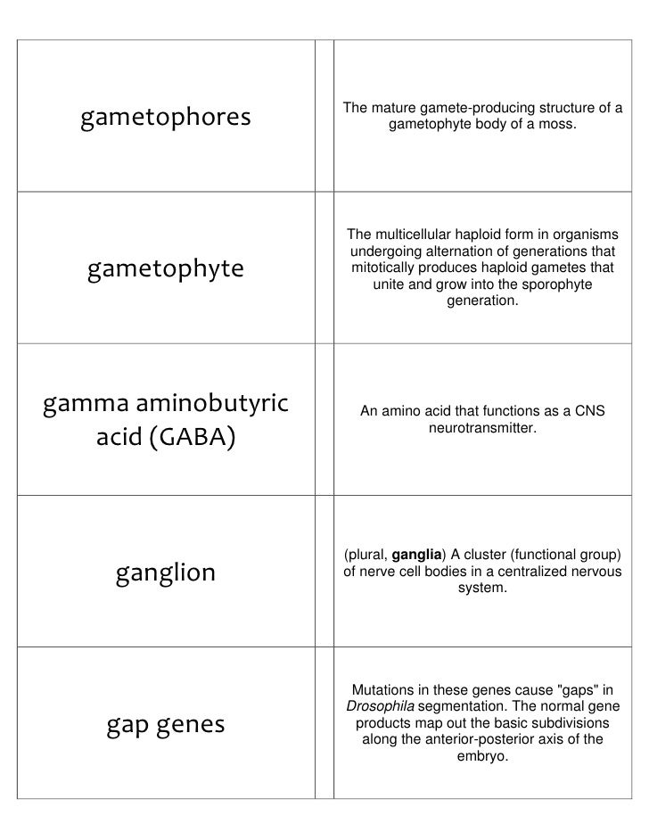 Biology Flash Cards 2