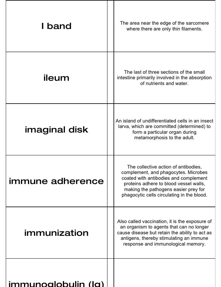 Biology Flash Cards 3
