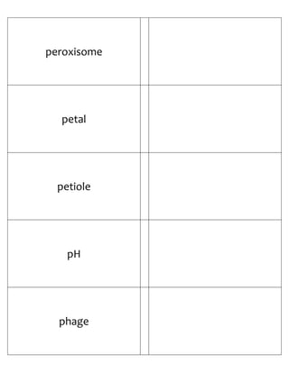 Biology Flash Cards 4