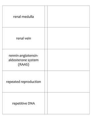 Biology Flash Cards 4