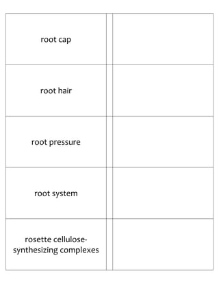 Biology Flash Cards 4