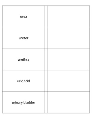 Biology Flash Cards 4