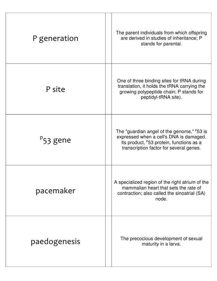 Biology Flash Cards 4