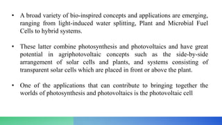 • A broad variety of bio-inspired concepts and applications are emerging,
ranging from light-induced water splitting, Plant and Microbial Fuel
Cells to hybrid systems.
• These latter combine photosynthesis and photovoltaics and have great
potential in agriphotovoltaic concepts such as the side-by-side
arrangement of solar cells and plants, and systems consisting of
transparent solar cells which are placed in front or above the plant.
• One of the applications that can contribute to bringing together the
worlds of photosynthesis and photovoltaics is the photovoltaic cell
 