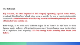 The Potential:
Eiji Nakatsu, the chief engineer of the company operating Japan’s fastest trains,
wondered if the kingfisher’s beak might serve as a model for how to redesign trains not to
create such a thunderous noise when leaving tunnels and breaking through the barrier
of tunnel air and outside-air.
Sure enough, as his team tested different shapes for the front of the new train, the train
became quieter and more efficient as the geometry of its nose became more like the shape
of a kingfisher’s beak, requiring 15% less energy while traveling even faster than
before.
 