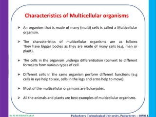 Biology for Engineers Part I (2023) - Dr. M. Muthukumaran.pptx