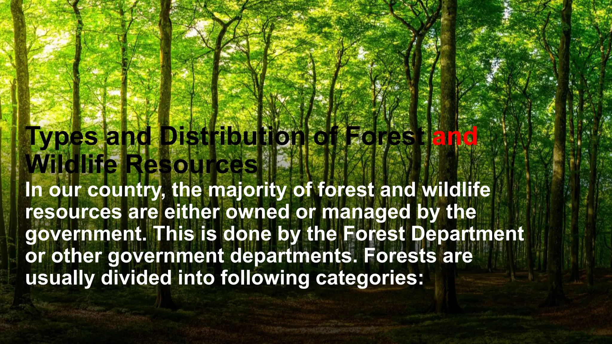 Biology forest and wildlife project | PPTX
