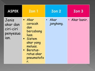 ASPEK Zon 1 Zon 2 Zon 3
Jenis
akar dan
ciri-ciri
penyesua
ian.
 Akar
ceracak
dan
bercabang
luas.
 Sistem
akar yang
meluas.
 Beratus-
ratus akar
pneumatofo
r.
• Akar
jangkang.
• Akar banir.
 
