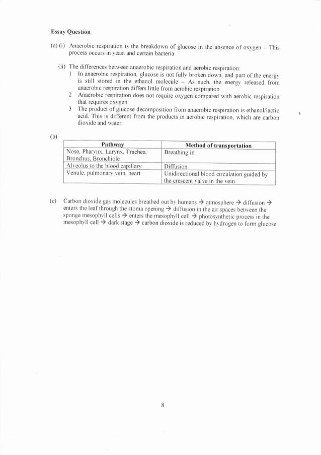 biology form 4 chapter 7 essay questions