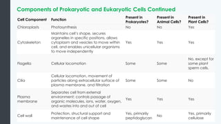 Yes Cellular BiologyforMajorsI_04_Cellular+Structure.pptx