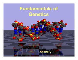 Fundamentals of
Genetics
Chapter 9
 