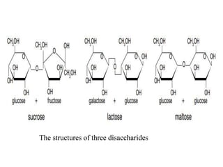 Biology GradeTen Unit Three Short Note For Students | PPTX