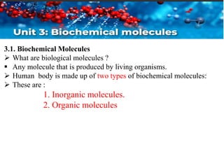 3.1. Biochemical Molecules
 What are biological molecules ?
 Any molecule that is produced by living organisms.
 Human body is made up of two types of biochemical molecules:
 These are :
1. Inorganic molecules.
2. Organic molecules
 