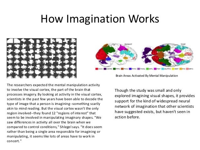 biology genetics nanotechnology neuroscience materials science b how imagination works