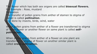 Poljen Example biology grade 10.pptx how do organism rep | PPTX