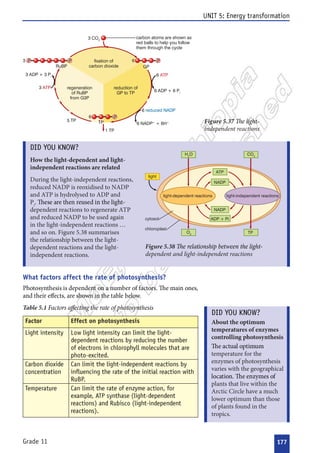 
















 



  






























  


 
 













 
 