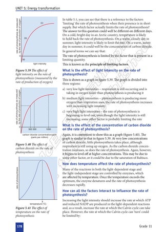  













 




 





































  








 