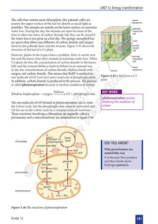 












































 










 