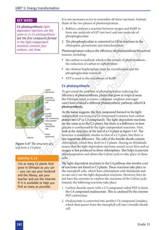  


 

























 

 












 