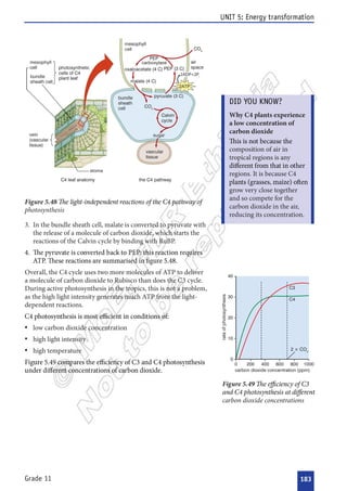 



 




























     




 