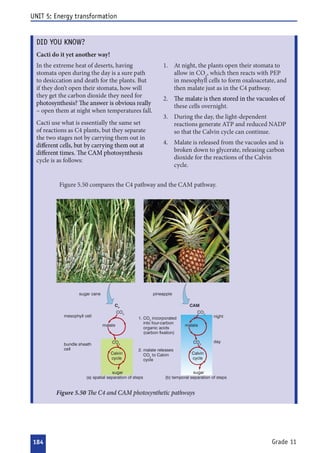  

 



























 











 
 




 


 





 