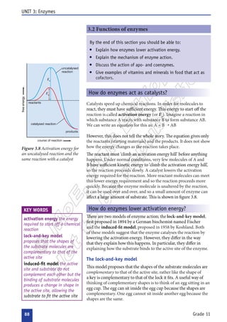  




 





 









 

































 