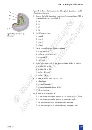 



 

  
  
  
  
 
  
  
  
  
 
  
  
  
  
 
  
  
  
  
 
  
  
  
  
 
  
  
  
  






 